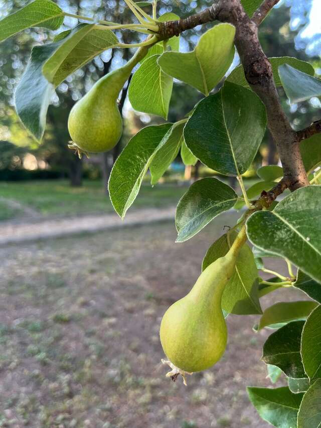 Гостиница Маяк Анапа-245