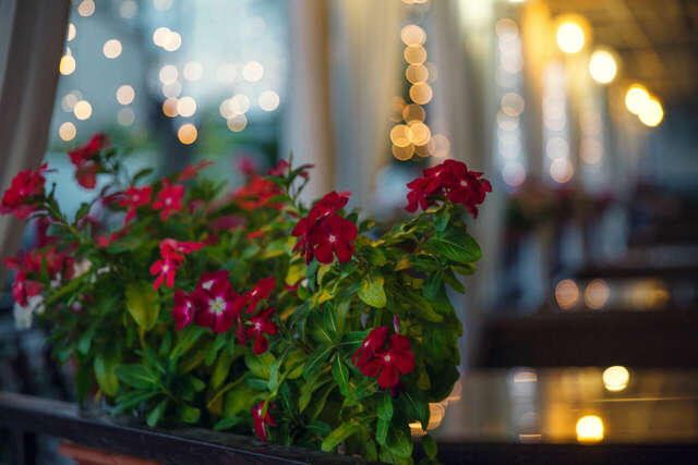 Гостиница Маяк Анапа-208