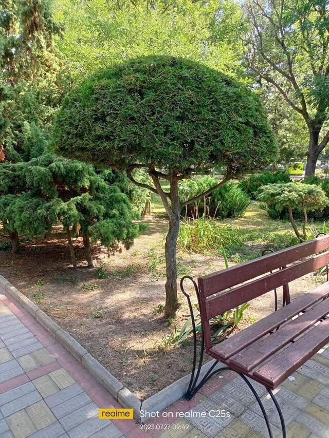 Гостиница Маяк Анапа-138